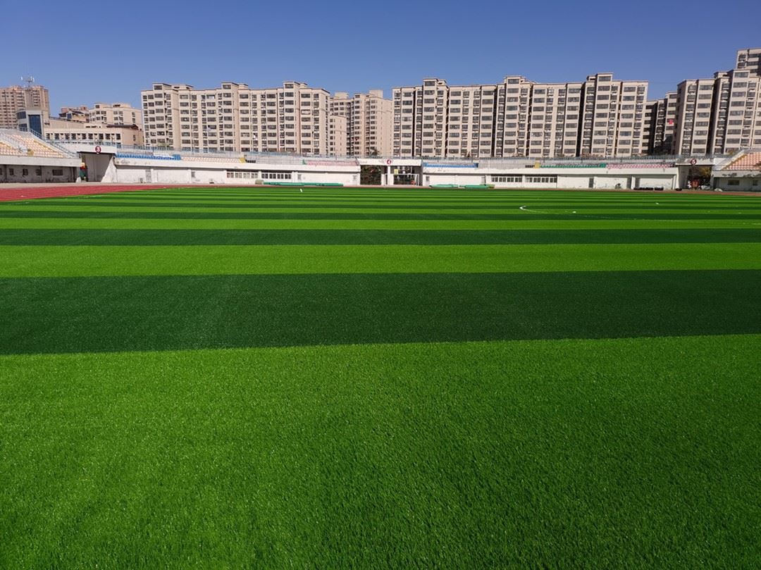 footballgrass01