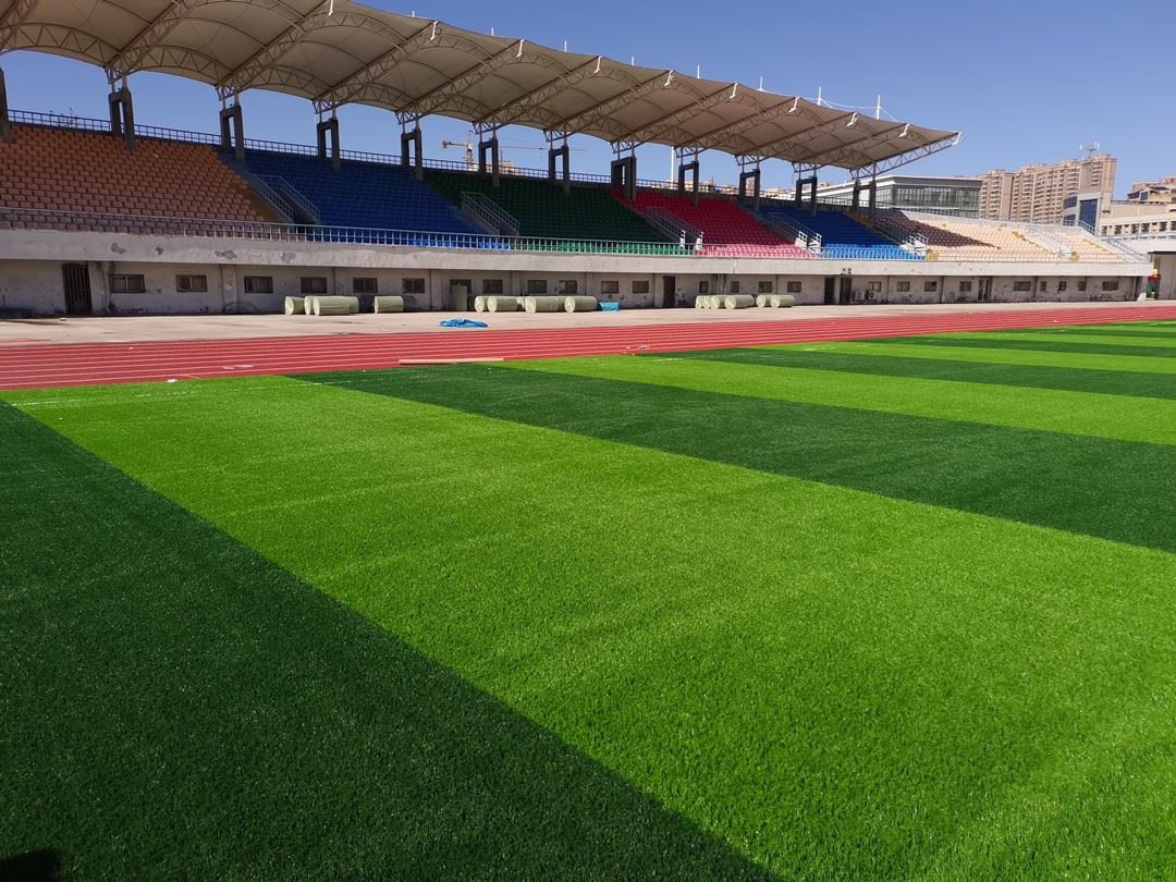 footballgrass03