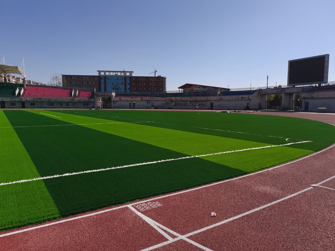 footballgrass05