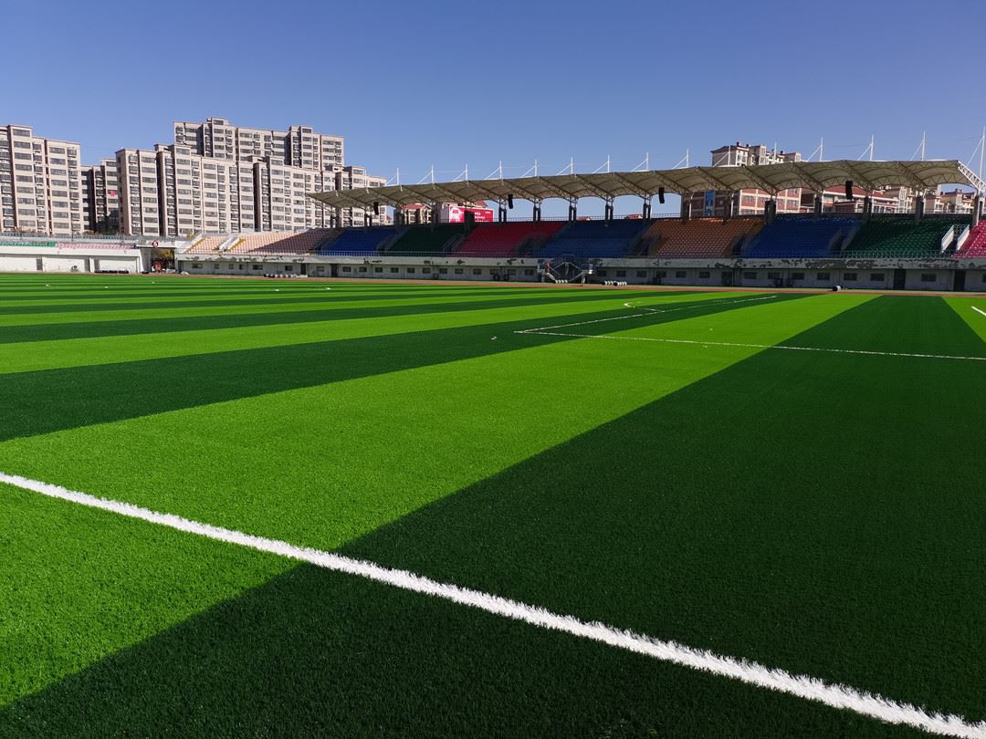 footballgrass06
