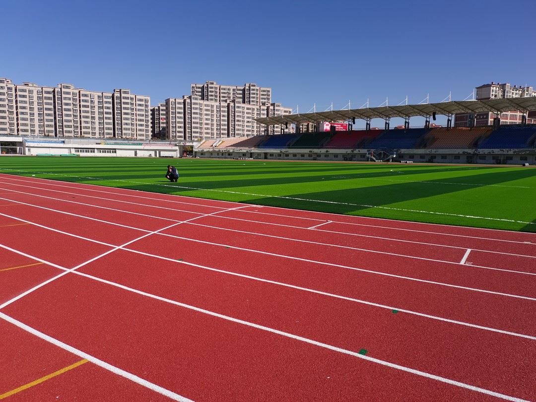 footballgrass07
