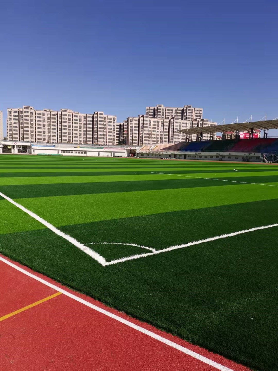 footballgrass08