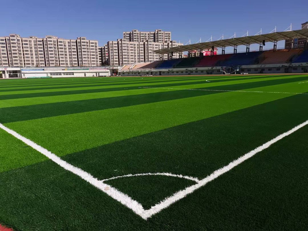 footballgrass09