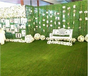 Evenemang Dekoration Gräs