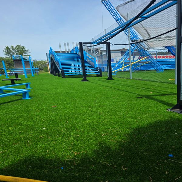 High Water Permeable Grass