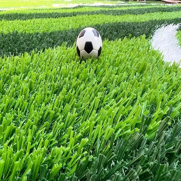 non-infilled grass non-infilled grass
